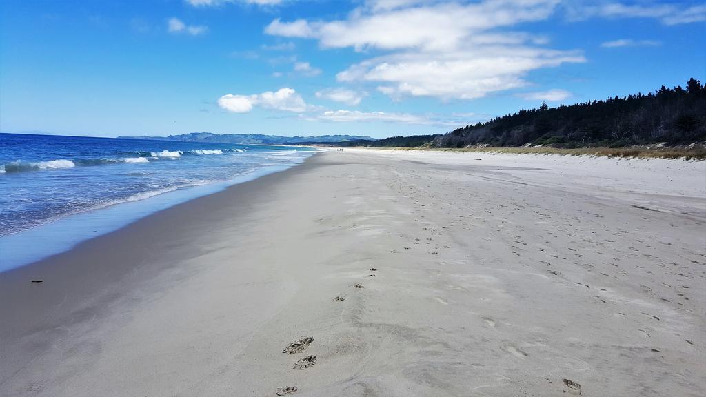 Close To Beach Auckland Exterior photo
